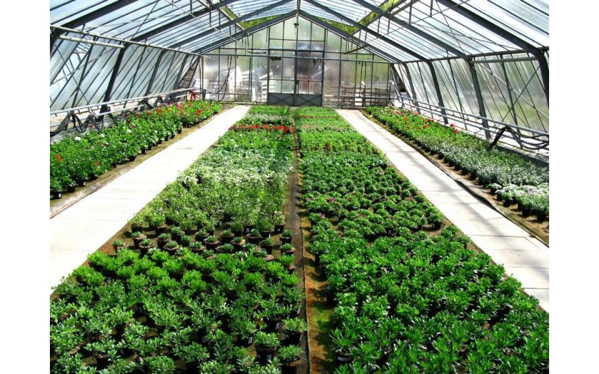 Cải thiện độ bền của màng nhà kính